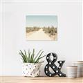 Picture of Cactus Row _GroupedProduct_Rectangle_Landscape_Photography _GroupedProduct_Rectangle_Landscape_Unframed_Print_Only_
