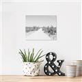 Picture of Cactus Row _GroupedProduct_Rectangle_Landscape_Photography _GroupedProduct_Rectangle_Landscape_Unframed_Print_Only_