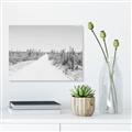 Picture of Cactus Row _GroupedProduct_Rectangle_Landscape_Photography _GroupedProduct_Rectangle_Landscape_Unframed_Print_Only_