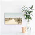 Picture of Cactus Row _GroupedProduct_Rectangle_Landscape_Photography _GroupedProduct_Rectangle_Landscape_Unframed_Print_Only_