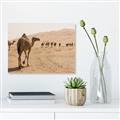 Picture of Camel Walk _GroupedProduct_Rectangle_Landscape_Photography _GroupedProduct_Rectangle_Landscape_Unframed_Print_Only_