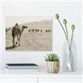 Picture of Camel Walk _GroupedProduct_Rectangle_Landscape_Photography _GroupedProduct_Rectangle_Landscape_Unframed_Print_Only_
