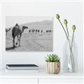 Picture of Camel Walk _GroupedProduct_Rectangle_Landscape_Photography _GroupedProduct_Rectangle_Landscape_Unframed_Print_Only_