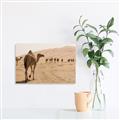 Picture of Camel Walk _GroupedProduct_Rectangle_Landscape_Photography _GroupedProduct_Rectangle_Landscape_Unframed_Print_Only_