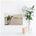 Picture of Camel Walk _GroupedProduct_Rectangle_Landscape_Photography _GroupedProduct_Rectangle_Landscape_Unframed_Print_Only_