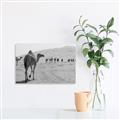 Picture of Camel Walk _GroupedProduct_Rectangle_Landscape_Photography _GroupedProduct_Rectangle_Landscape_Unframed_Print_Only_