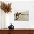 Picture of Camel Walk _GroupedProduct_Rectangle_Landscape_Photography _GroupedProduct_Rectangle_Landscape_Unframed_Print_Only_