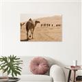 Picture of Camel Walk _GroupedProduct_Rectangle_Landscape_Photography _GroupedProduct_Rectangle_Landscape_Unframed_Print_Only_
