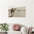 Picture of Camel Walk _GroupedProduct_Rectangle_Landscape_Photography _GroupedProduct_Rectangle_Landscape_Unframed_Print_Only_