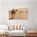 Picture of Camel Walk _GroupedProduct_Rectangle_Landscape_Photography _GroupedProduct_Rectangle_Landscape_Unframed_Print_Only_
