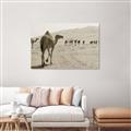 Picture of Camel Walk _GroupedProduct_Rectangle_Landscape_Photography _GroupedProduct_Rectangle_Landscape_Unframed_Print_Only_