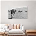 Picture of Camel Walk _GroupedProduct_Rectangle_Landscape_Photography _GroupedProduct_Rectangle_Landscape_Unframed_Print_Only_