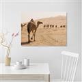 Picture of Camel Walk _GroupedProduct_Rectangle_Landscape_Photography _GroupedProduct_Rectangle_Landscape_Unframed_Print_Only_