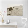 Picture of Camel Walk _GroupedProduct_Rectangle_Landscape_Photography _GroupedProduct_Rectangle_Landscape_Unframed_Print_Only_