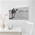 Picture of Camel Walk _GroupedProduct_Rectangle_Landscape_Photography _GroupedProduct_Rectangle_Landscape_Unframed_Print_Only_