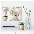 Picture of Fluffy Florals _GroupedProduct_Rectangle_Landscape_Photography _GroupedProduct_Rectangle_Landscape_Unframed_Print_Only_