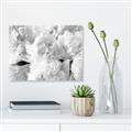 Picture of Fluffy Florals _GroupedProduct_Rectangle_Landscape_Photography _GroupedProduct_Rectangle_Landscape_Unframed_Print_Only_