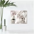 Picture of Fluffy Florals _GroupedProduct_Rectangle_Landscape_Photography _GroupedProduct_Rectangle_Landscape_Unframed_Print_Only_