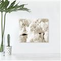 Picture of Fluffy Florals _GroupedProduct_Rectangle_Landscape_Photography _GroupedProduct_Rectangle_Landscape_Unframed_Print_Only_