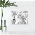 Picture of Fluffy Florals _GroupedProduct_Rectangle_Landscape_Photography _GroupedProduct_Rectangle_Landscape_Unframed_Print_Only_
