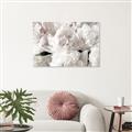Picture of Fluffy Florals _GroupedProduct_Rectangle_Landscape_Photography _GroupedProduct_Rectangle_Landscape_Unframed_Print_Only_