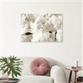Picture of Fluffy Florals _GroupedProduct_Rectangle_Landscape_Photography _GroupedProduct_Rectangle_Landscape_Unframed_Print_Only_