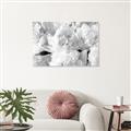 Picture of Fluffy Florals _GroupedProduct_Rectangle_Landscape_Photography _GroupedProduct_Rectangle_Landscape_Unframed_Print_Only_
