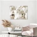 Picture of Fluffy Florals _GroupedProduct_Rectangle_Landscape_Photography _GroupedProduct_Rectangle_Landscape_Unframed_Print_Only_