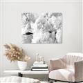 Picture of Fluffy Florals _GroupedProduct_Rectangle_Landscape_Photography _GroupedProduct_Rectangle_Landscape_Unframed_Print_Only_