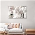 Picture of Fluffy Florals _GroupedProduct_Rectangle_Landscape_Photography _GroupedProduct_Rectangle_Landscape_Unframed_Print_Only_