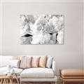 Picture of Fluffy Florals _GroupedProduct_Rectangle_Landscape_Photography _GroupedProduct_Rectangle_Landscape_Unframed_Print_Only_