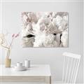 Picture of Fluffy Florals _GroupedProduct_Rectangle_Landscape_Photography _GroupedProduct_Rectangle_Landscape_Unframed_Print_Only_