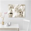 Picture of Fluffy Florals _GroupedProduct_Rectangle_Landscape_Photography _GroupedProduct_Rectangle_Landscape_Unframed_Print_Only_