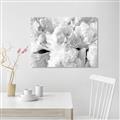 Picture of Fluffy Florals _GroupedProduct_Rectangle_Landscape_Photography _GroupedProduct_Rectangle_Landscape_Unframed_Print_Only_