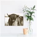 Picture of Bull in the Grass _GroupedProduct_Rectangle_Landscape_Photography _GroupedProduct_Rectangle_Landscape_Unframed_Print_Only_