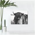 Picture of Bull in the Grass _GroupedProduct_Rectangle_Landscape_Photography _GroupedProduct_Rectangle_Landscape_Unframed_Print_Only_