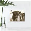 Picture of Bull in the Grass _GroupedProduct_Rectangle_Landscape_Photography _GroupedProduct_Rectangle_Landscape_Unframed_Print_Only_