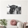 Picture of Bull in the Grass _GroupedProduct_Rectangle_Landscape_Photography _GroupedProduct_Rectangle_Landscape_Unframed_Print_Only_