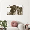 Picture of Bull in the Grass _GroupedProduct_Rectangle_Landscape_Photography _GroupedProduct_Rectangle_Landscape_Unframed_Print_Only_