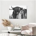 Picture of Bull in the Grass _GroupedProduct_Rectangle_Landscape_Photography _GroupedProduct_Rectangle_Landscape_Unframed_Print_Only_