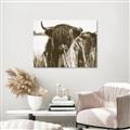 Picture of Bull in the Grass _GroupedProduct_Rectangle_Landscape_Photography _GroupedProduct_Rectangle_Landscape_Unframed_Print_Only_