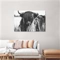 Picture of Bull in the Grass _GroupedProduct_Rectangle_Landscape_Photography _GroupedProduct_Rectangle_Landscape_Unframed_Print_Only_