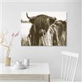 Picture of Bull in the Grass _GroupedProduct_Rectangle_Landscape_Photography _GroupedProduct_Rectangle_Landscape_Unframed_Print_Only_