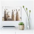Picture of Llama Fam _GroupedProduct_Rectangle_Landscape_Photography _GroupedProduct_Rectangle_Landscape_Unframed_Print_Only_