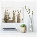 Picture of Llama Fam _GroupedProduct_Rectangle_Landscape_Photography _GroupedProduct_Rectangle_Landscape_Unframed_Print_Only_