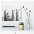 Picture of Llama Fam _GroupedProduct_Rectangle_Landscape_Photography _GroupedProduct_Rectangle_Landscape_Unframed_Print_Only_