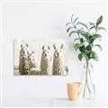 Picture of Llama Fam _GroupedProduct_Rectangle_Landscape_Photography _GroupedProduct_Rectangle_Landscape_Unframed_Print_Only_