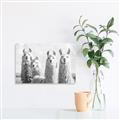 Picture of Llama Fam _GroupedProduct_Rectangle_Landscape_Photography _GroupedProduct_Rectangle_Landscape_Unframed_Print_Only_