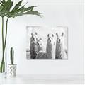 Picture of Llama Fam _GroupedProduct_Rectangle_Landscape_Photography _GroupedProduct_Rectangle_Landscape_Unframed_Print_Only_