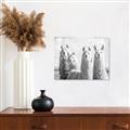 Picture of Llama Fam _GroupedProduct_Rectangle_Landscape_Photography _GroupedProduct_Rectangle_Landscape_Unframed_Print_Only_
